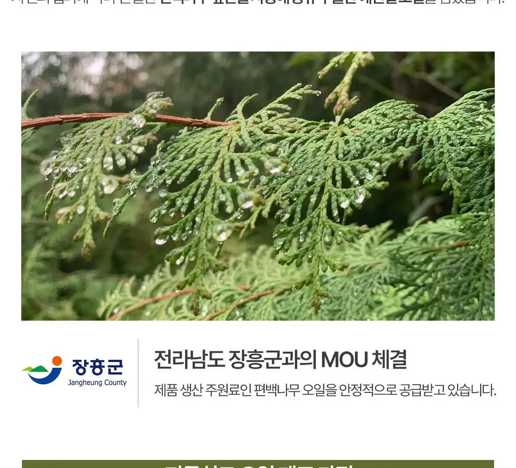 [이수지PICK] 소노시즌 피톤치드 3.0 리츄얼 룸 스프레이 기획 300ml 2종 택1(시더우드/파인트리) 상세페이지 34